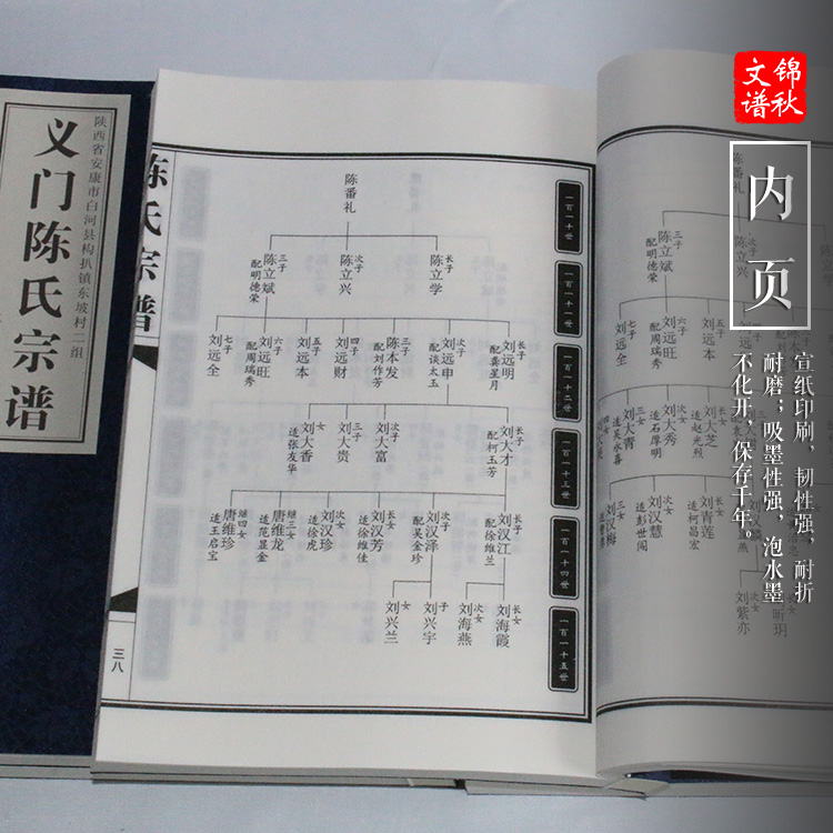 義門陳氏宗譜宣紙內頁
