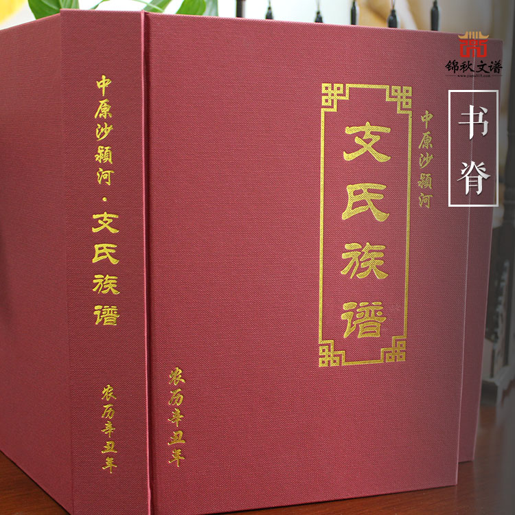 中原沙穎河支氏族譜書(shū)脊
