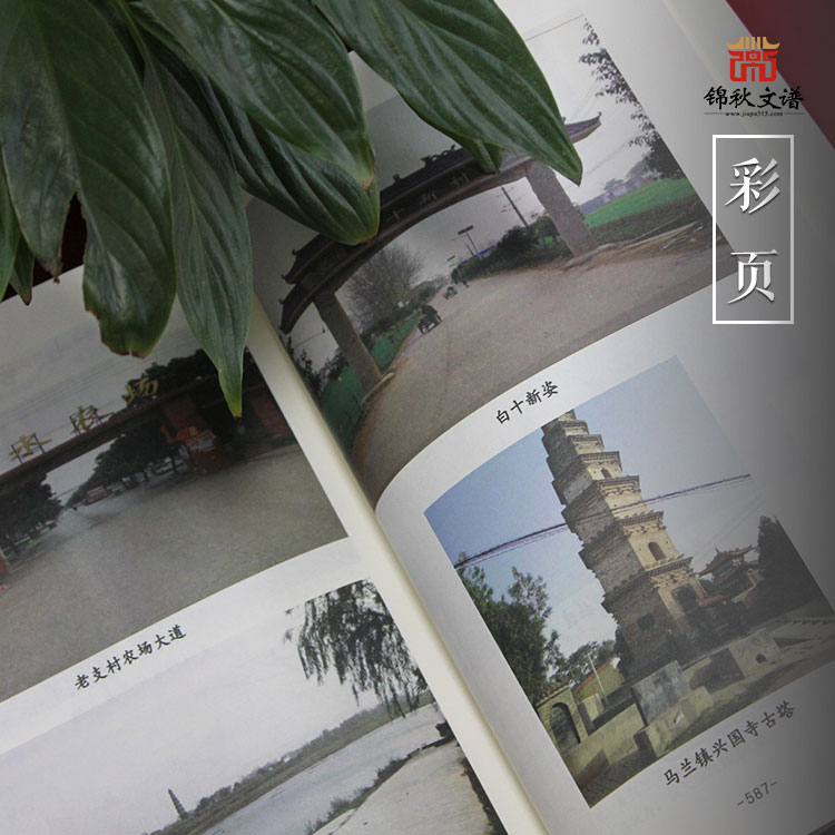中原沙穎河支氏族譜彩頁(yè)2