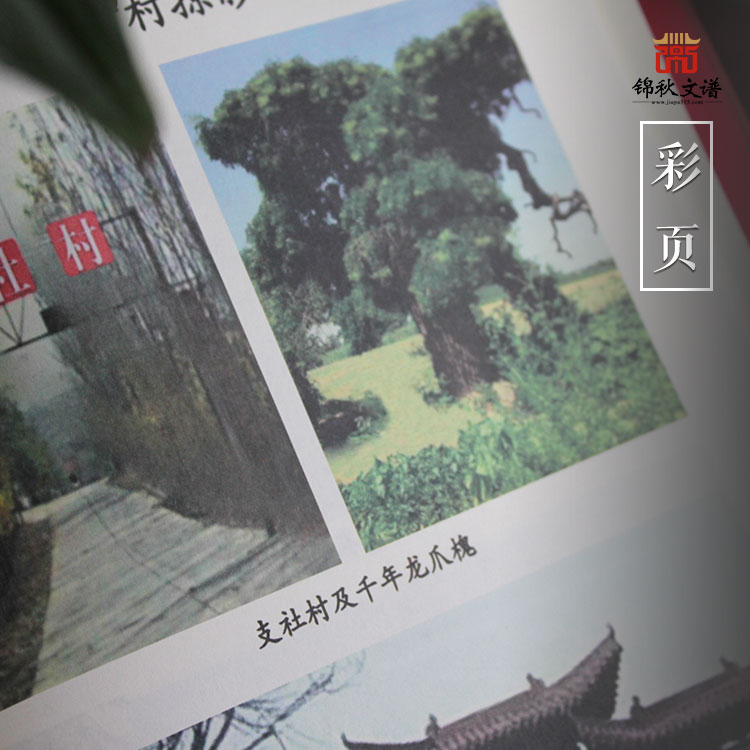 中原沙穎河支氏族譜彩頁(yè)1