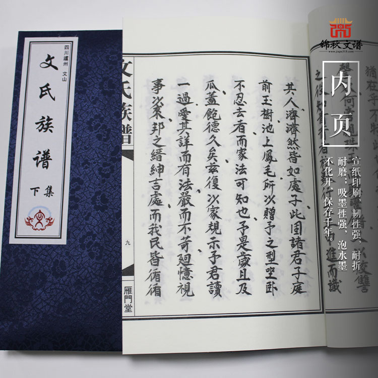 文氏族譜內頁展示
