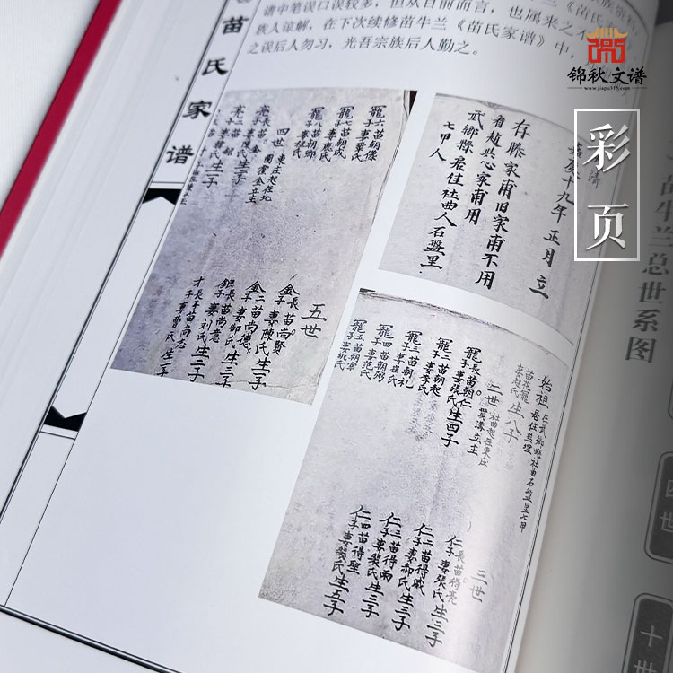 苗氏家譜彩頁